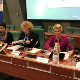 Panel of speakers at the European Consultation on Gender Equality and Political Empowerment on 10 November in Strasbourg, France