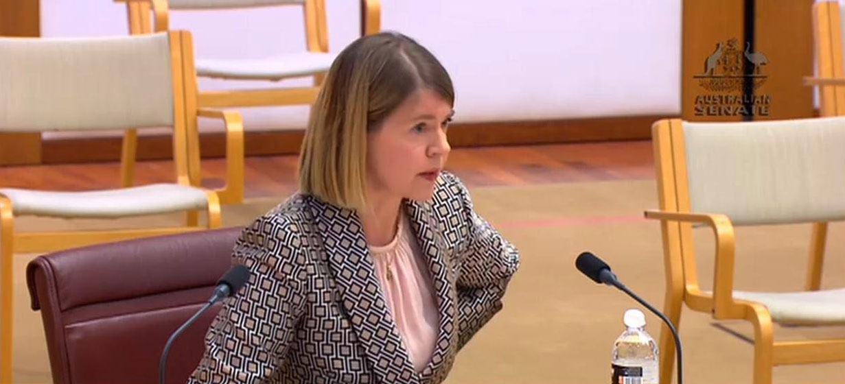 International IDEA’s Regional Director for Asia and the Pacific, Leena Rikkilä Tamang, delivering her submission in the Australian Senate.