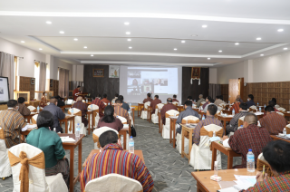 People attending to hybrid legislative drafting seminar with the Parliament of Bhutan, 3–7 August 2020