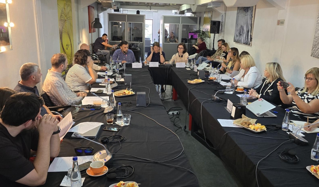 Dialogue "Building Resilience to Gender-Related Information Manipulation" in Skopje