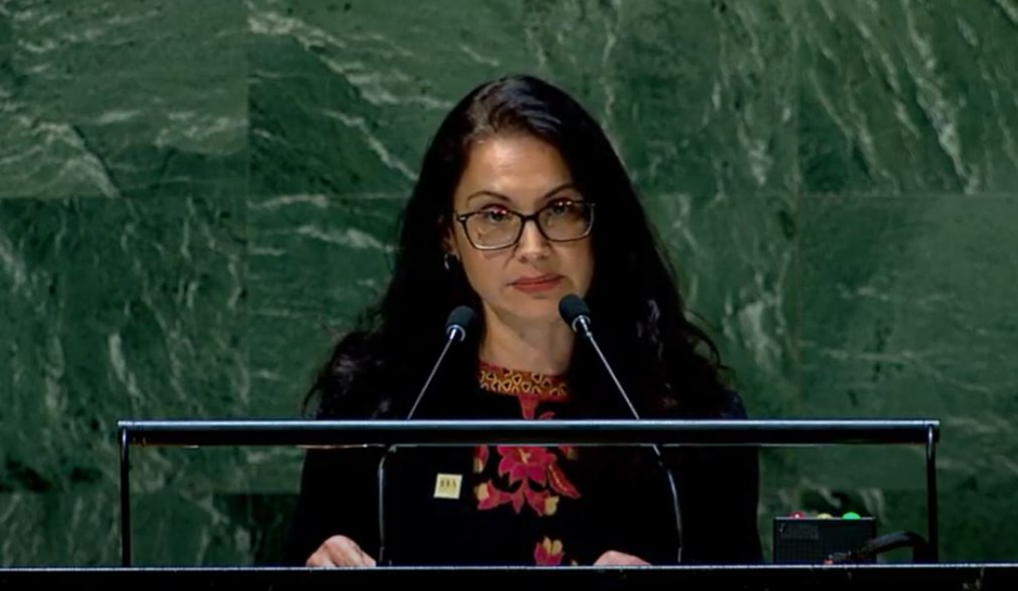 Statement delivered by Ms Annika Silva-Leander on behalf of International IDEA