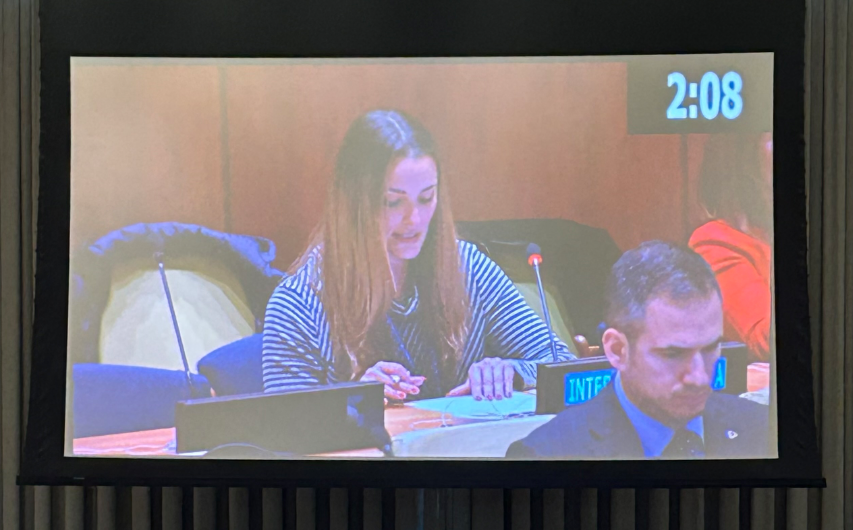 Statement delivered by Ms Amanda Sourek on behalf of International IDEA