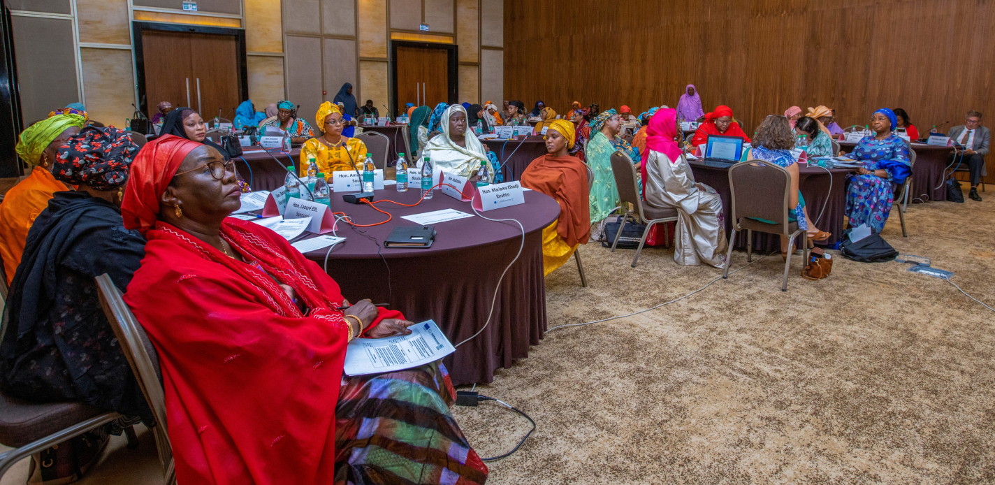INTER PARES Partnership with the National Assembly of Niger, Peer-to-Peer Exchange on the role and responsibilities of Women’s Caucuses  Credit INTER PARES, International IDEA.