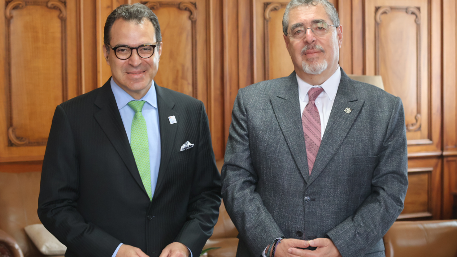 Kevin Casas-Zamora, Secretary-General of International IDEA and Bernardo Arévalo, President of Guatemala