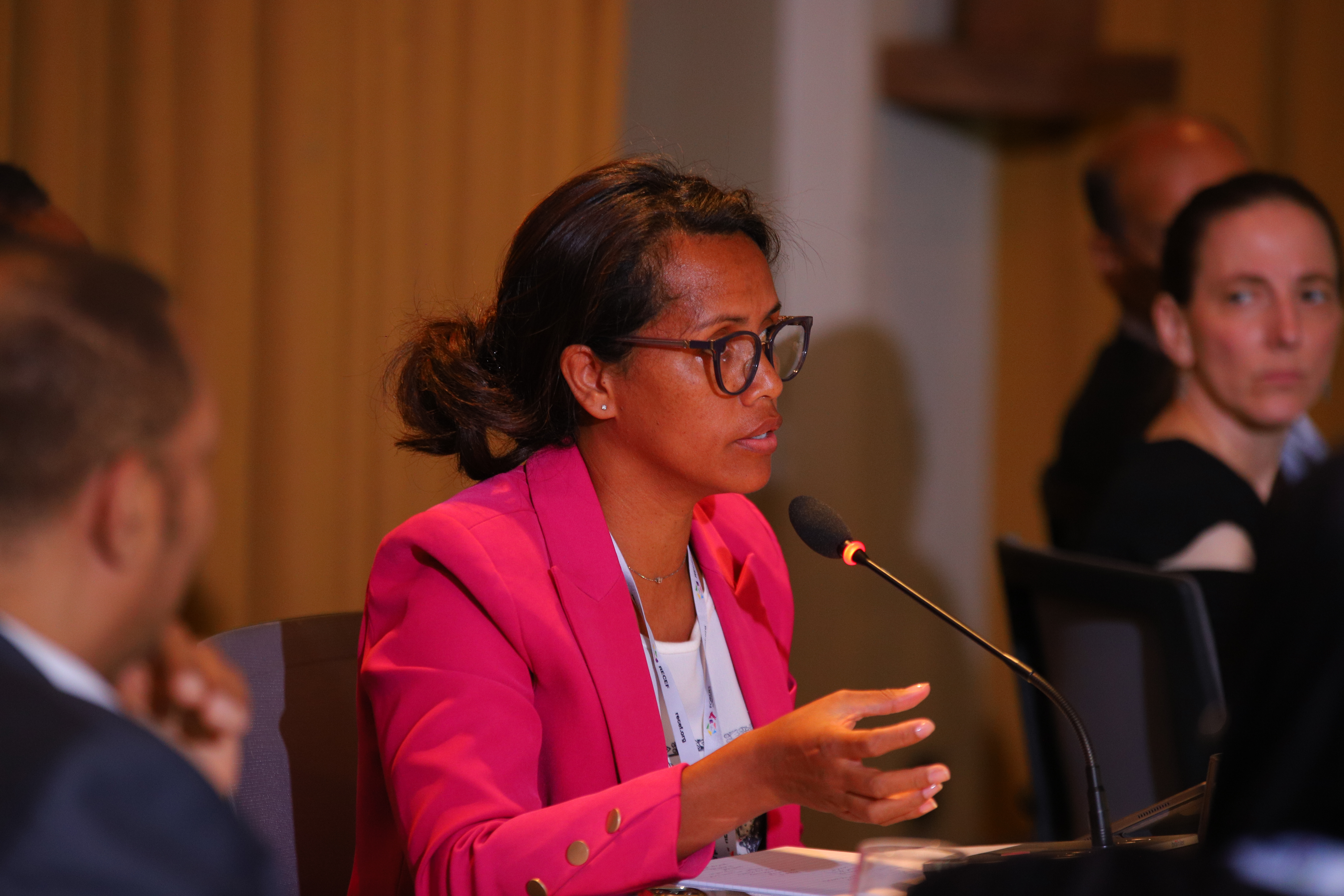 Ms Randriamiarimanana, Director of Electoral and Referendum Operations, Election Commission of Madagascar. Photo by Lume / International IDEA.