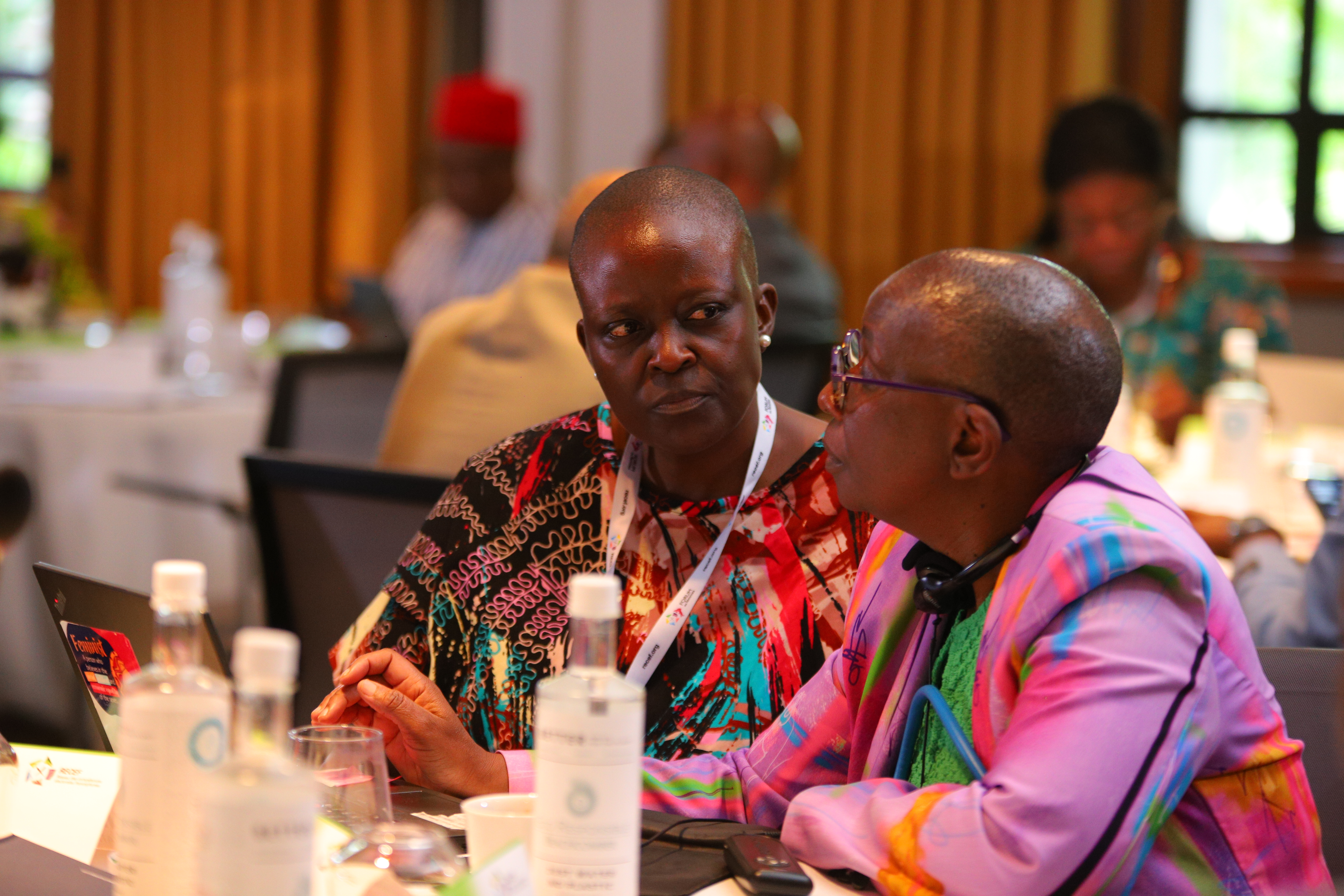 Rachelle Ouku (external gender expert) and Rumbidzai Kandawasvika-Nhundu (Principal Advisor, International IDEA). Photo by Lume / International IDEA. 