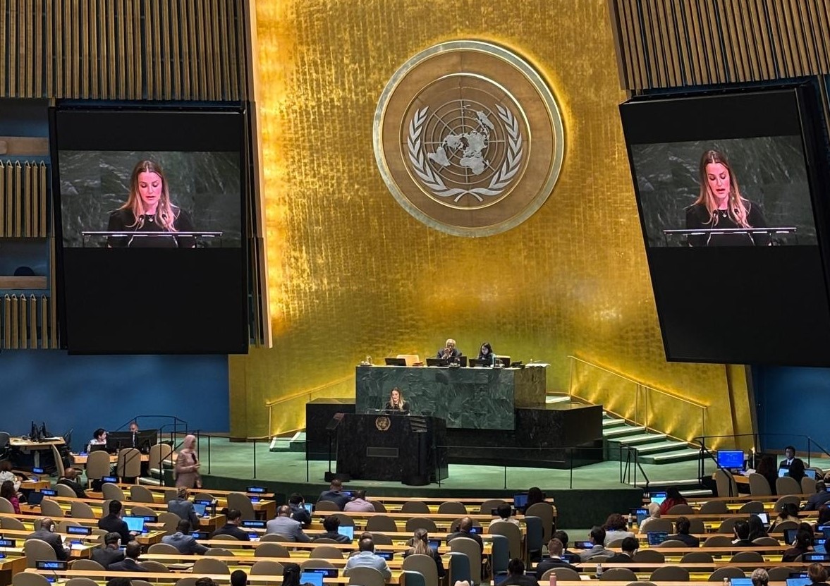 Statement delivered by Ms Amanda Sourek on behalf of International IDEA