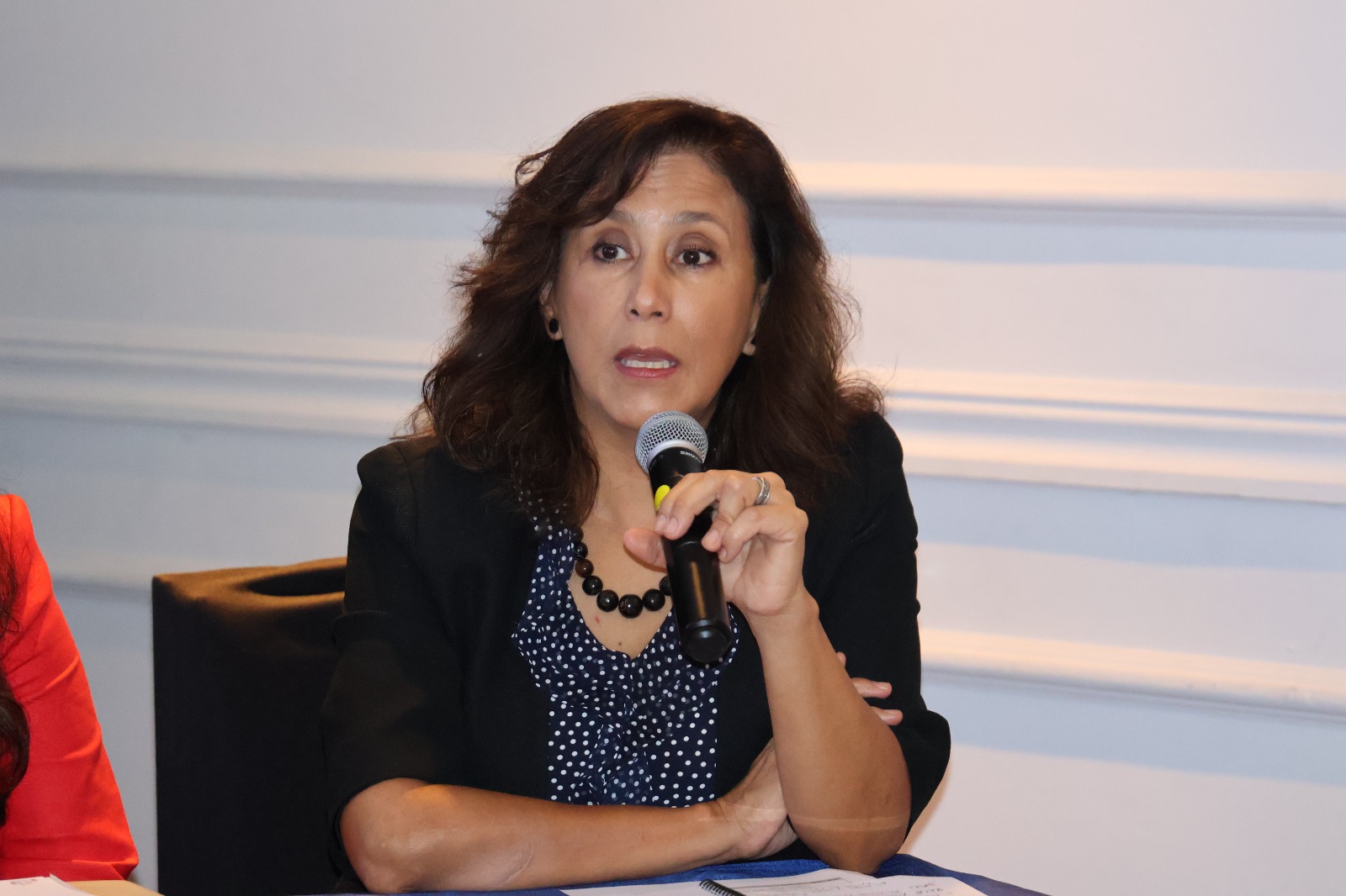 Alicia Del Aguila, Programme Manager-Panama, International IDEA