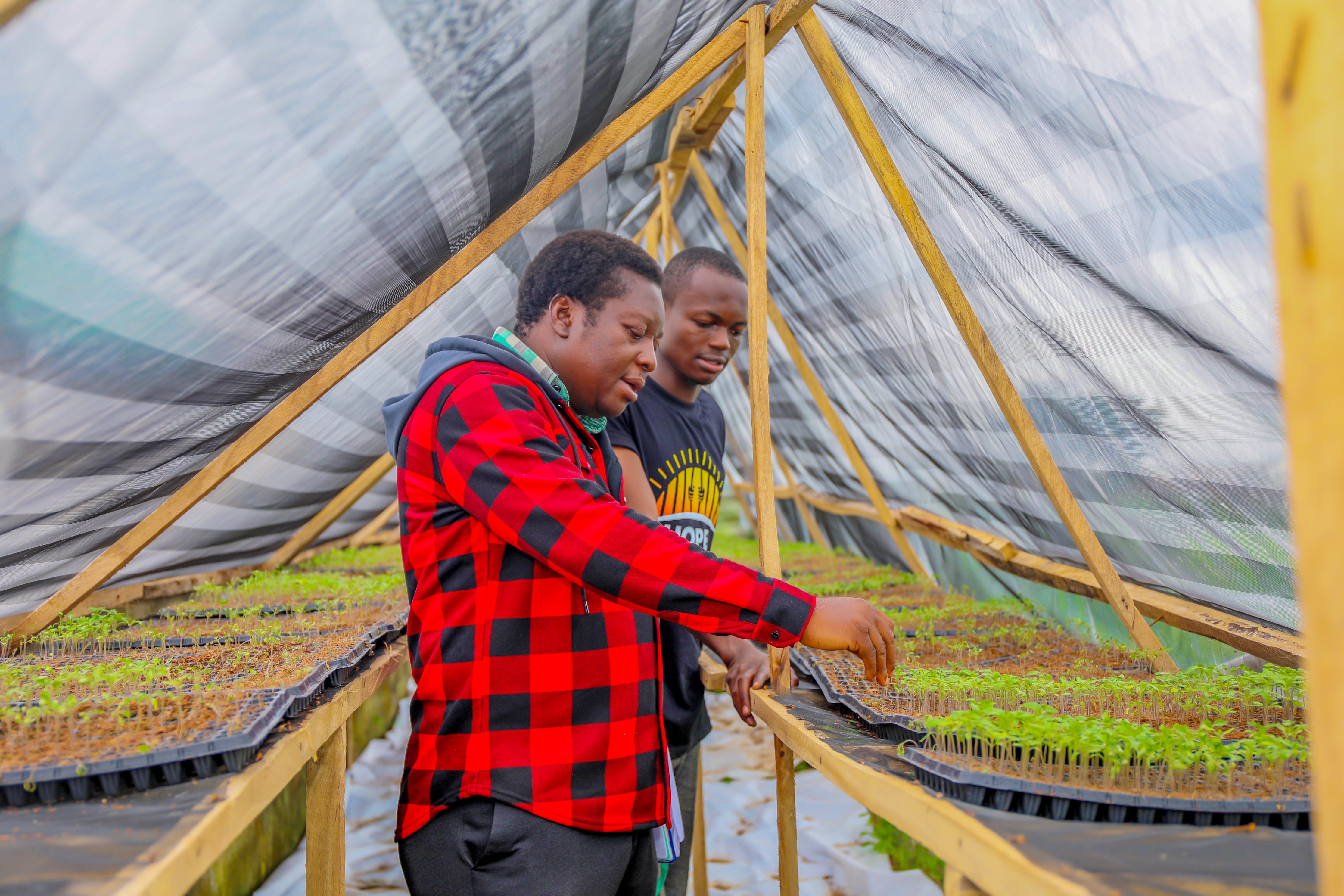 RoLAC in Nigeria - November 2025