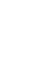 Servicio Electoral de Chile (Servel)