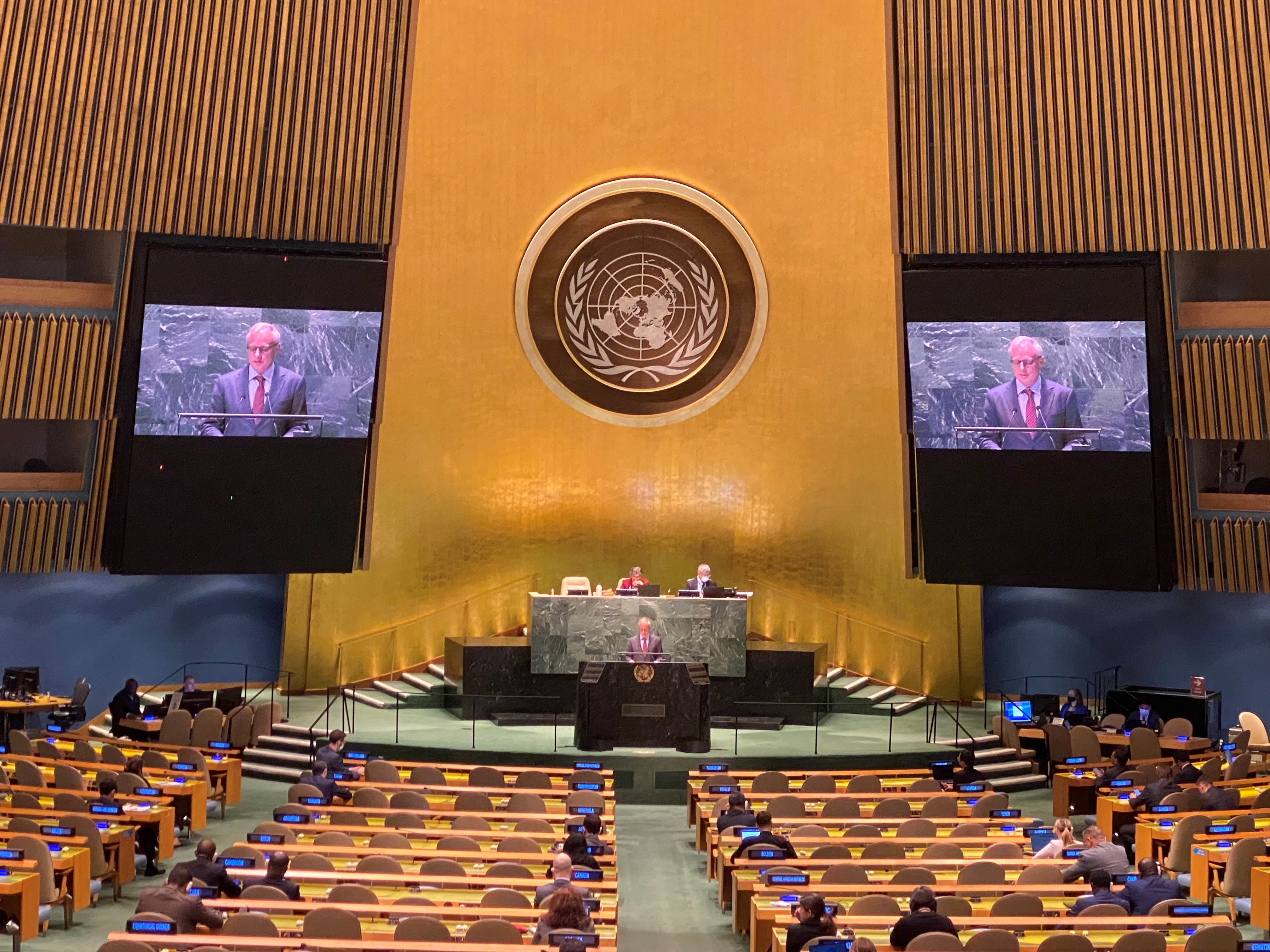 Marcus Brand delivering the statement during the General Assembly