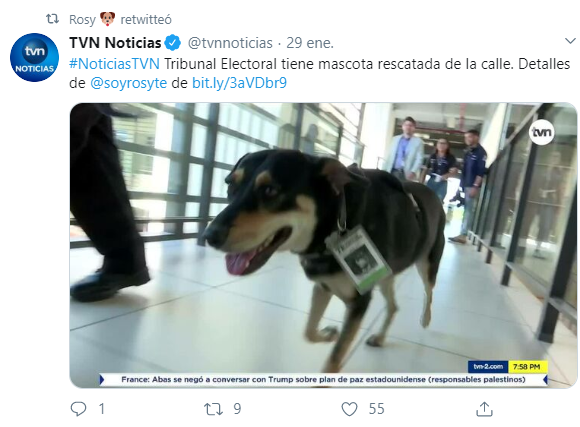 Rosy ha recibido cobertura mediática