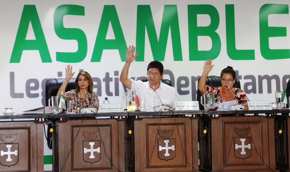 Asambleístas departamentales en sesión. Crédito de la imagen: IDEA Internacional.