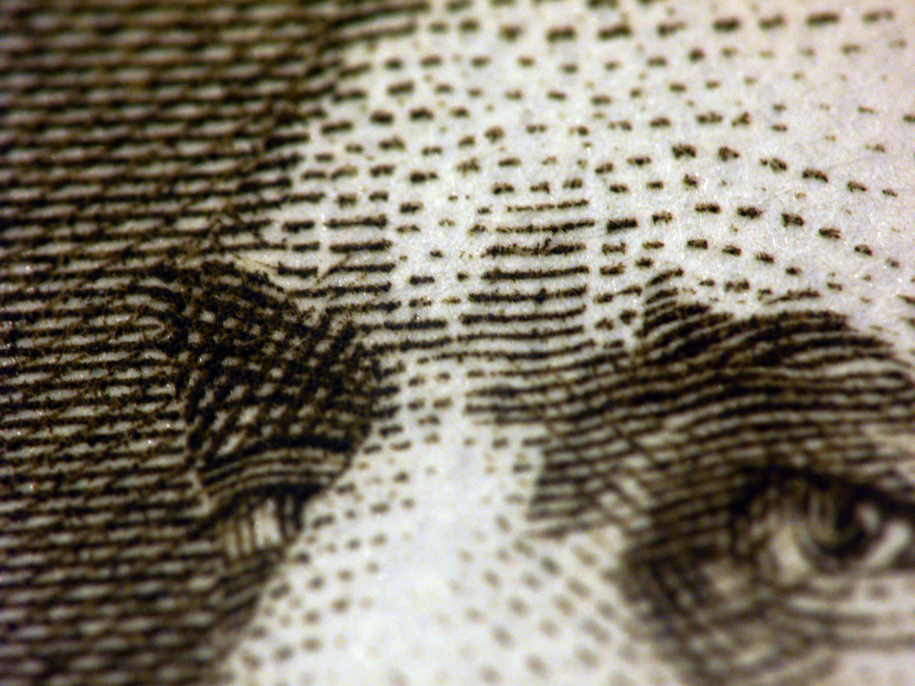 Paper money. Image: Kevin Dooley
