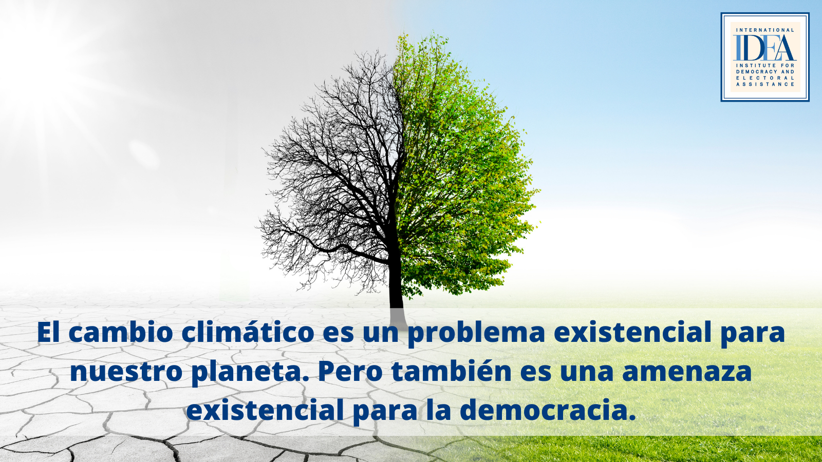 Cambio climático y democracia simbolizados en un árbol verde y gris