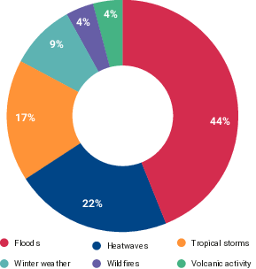 pie chart shows types of hazards affected elections in 2024