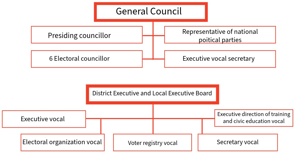 decentralized bodies organizational chart of INE