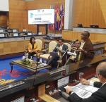 Rumbidzai Kandawasvika-Nhundhu during the roundtable discussion. Image credit: International IDEA, Antonio Spinelli.