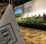 The plenary assembly of the Global Network of Electoral Justice held in November 2019 in Los Cabos, Mexico. 