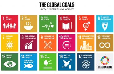 The Global Goals