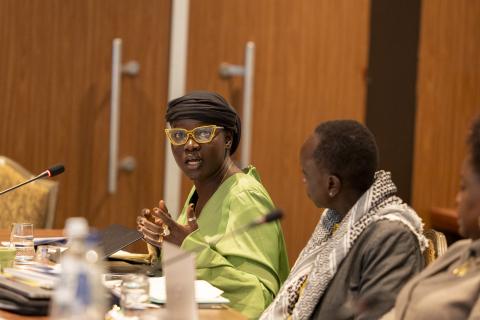 /Photo courtesy of Constitutional Governance, International IDEA