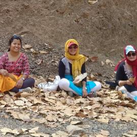 Image credit: International IDEA