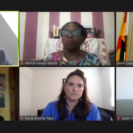 Image credit: International IDEA