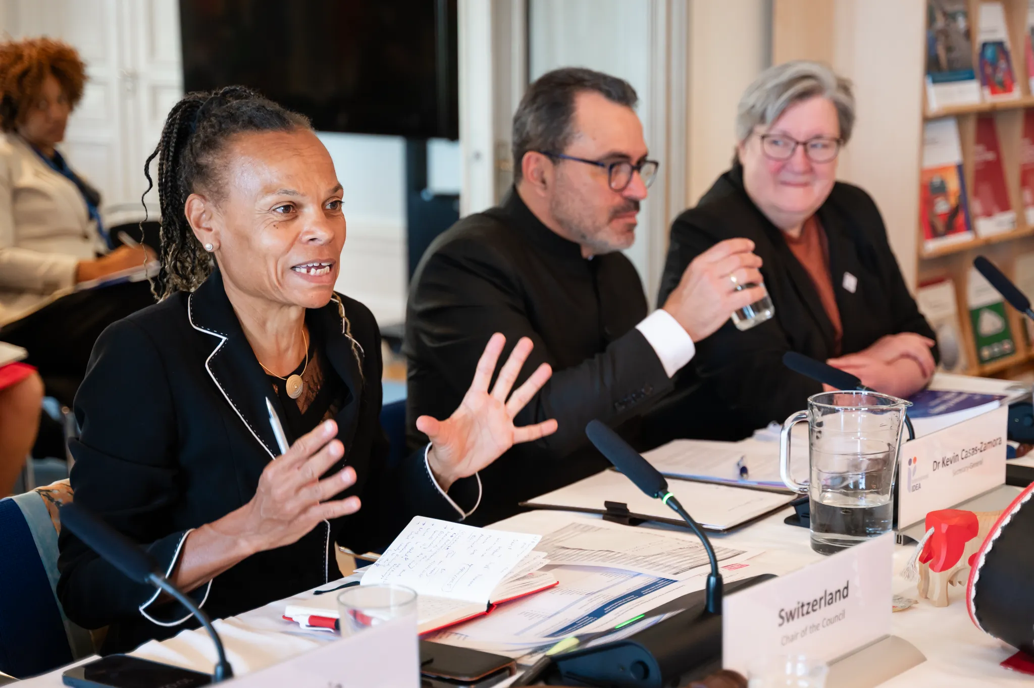 Director-General of the Swiss Agency for Development and Cooperation Patricia Danzi chaired International IDEA’s extraordinary Council meeting in Stockholm on 12 June 2025. Photo: Malin Huusmann