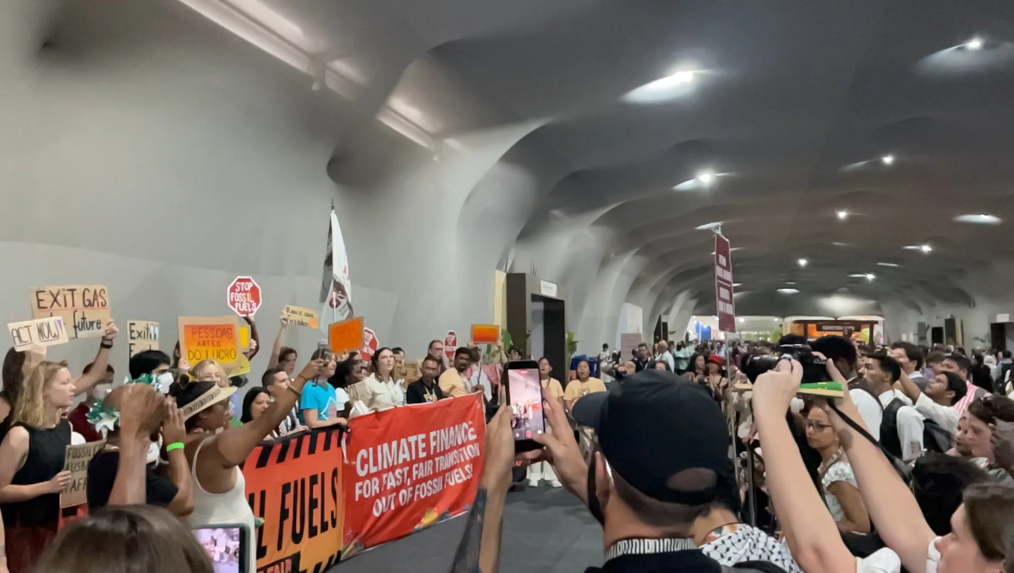 Demonstrations in the diplomatic Blue Zone at COP30 in Belém, Brazil - E.Westerling/International IDEA