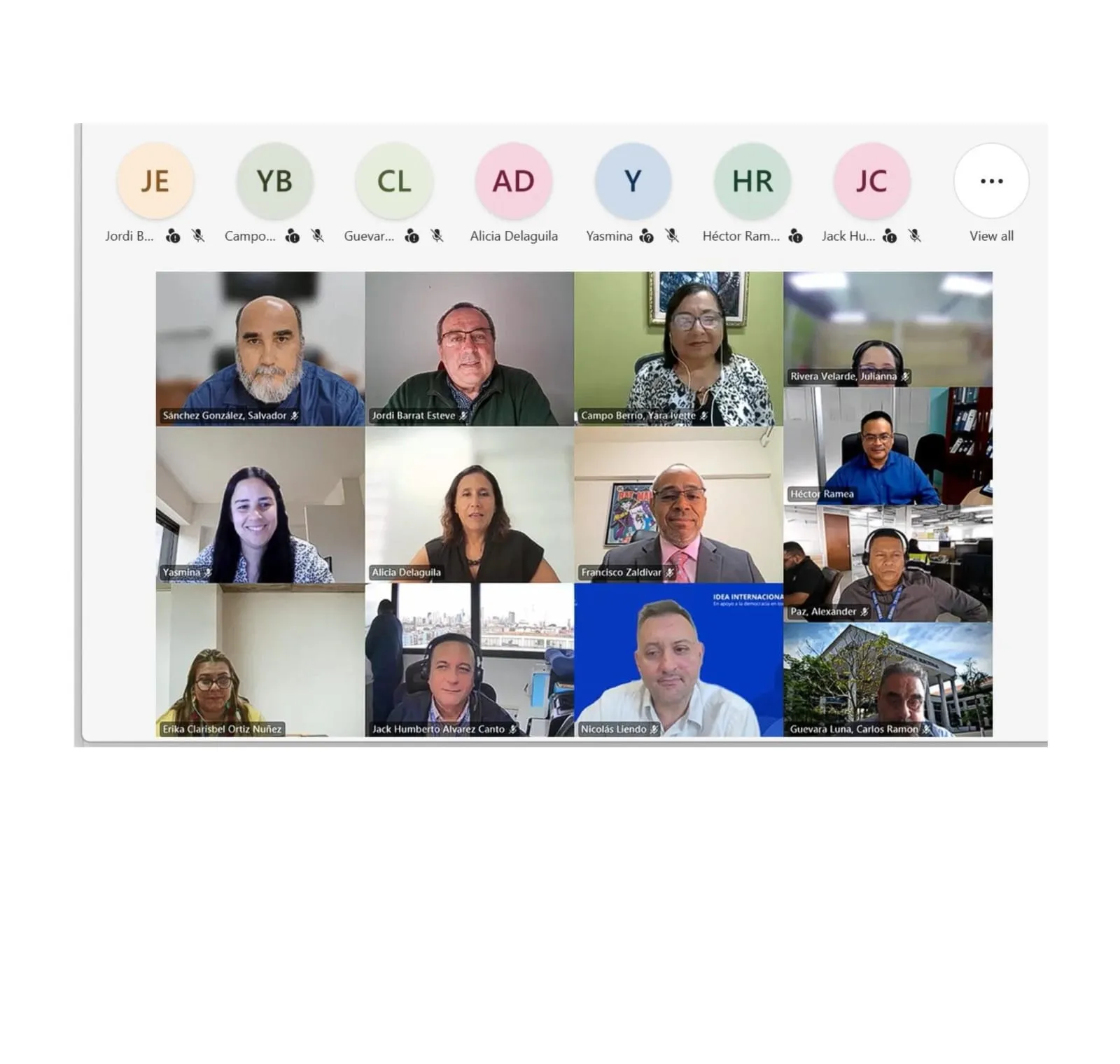 Captura de pantalla de algunos/as de los participantes en la sesión Voto electrónico: análisis comparativo y mejores prácticas internacionales.