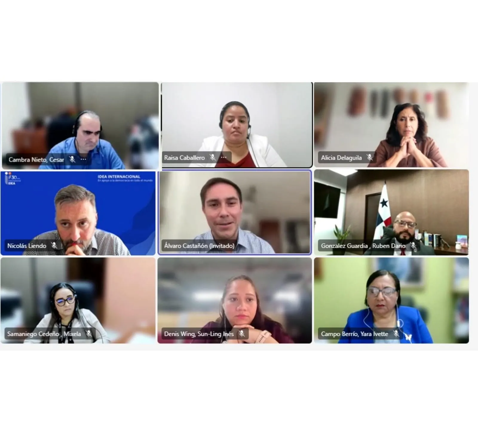 Senior officials of Panama’s Electoral Tribunal participated in the virtual presentation of a report on accessibility for persons with disabilities in electoral processes.