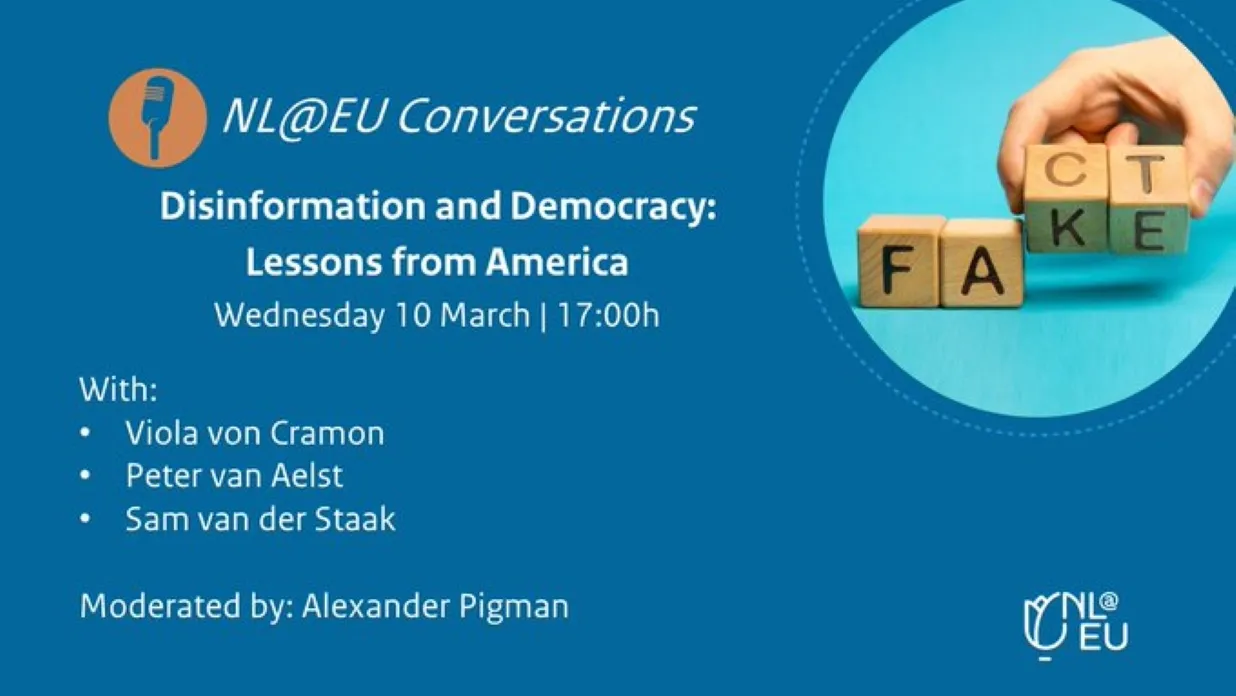 Webinar - Disinformation and Democracy: Lessons from America