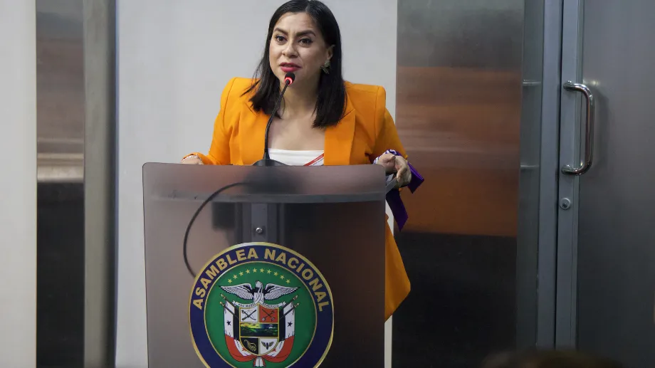 Olimpia Coral Melo, activista mexicana y consultora de IDEA Internacional, durante la discusión de la Ley 61 en primer debate en la Comisión de Gobierno, Justicia y Asuntos Constitucionales de la Asamblea Nacional, el 1 de octubre de 2024.