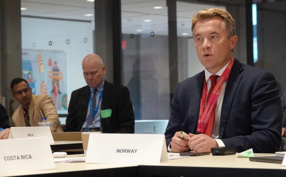 Andreas Kravik, State Secretary of Norway.