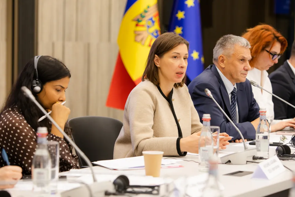 Liliana Vițu, Chair, Audiovisual Council 