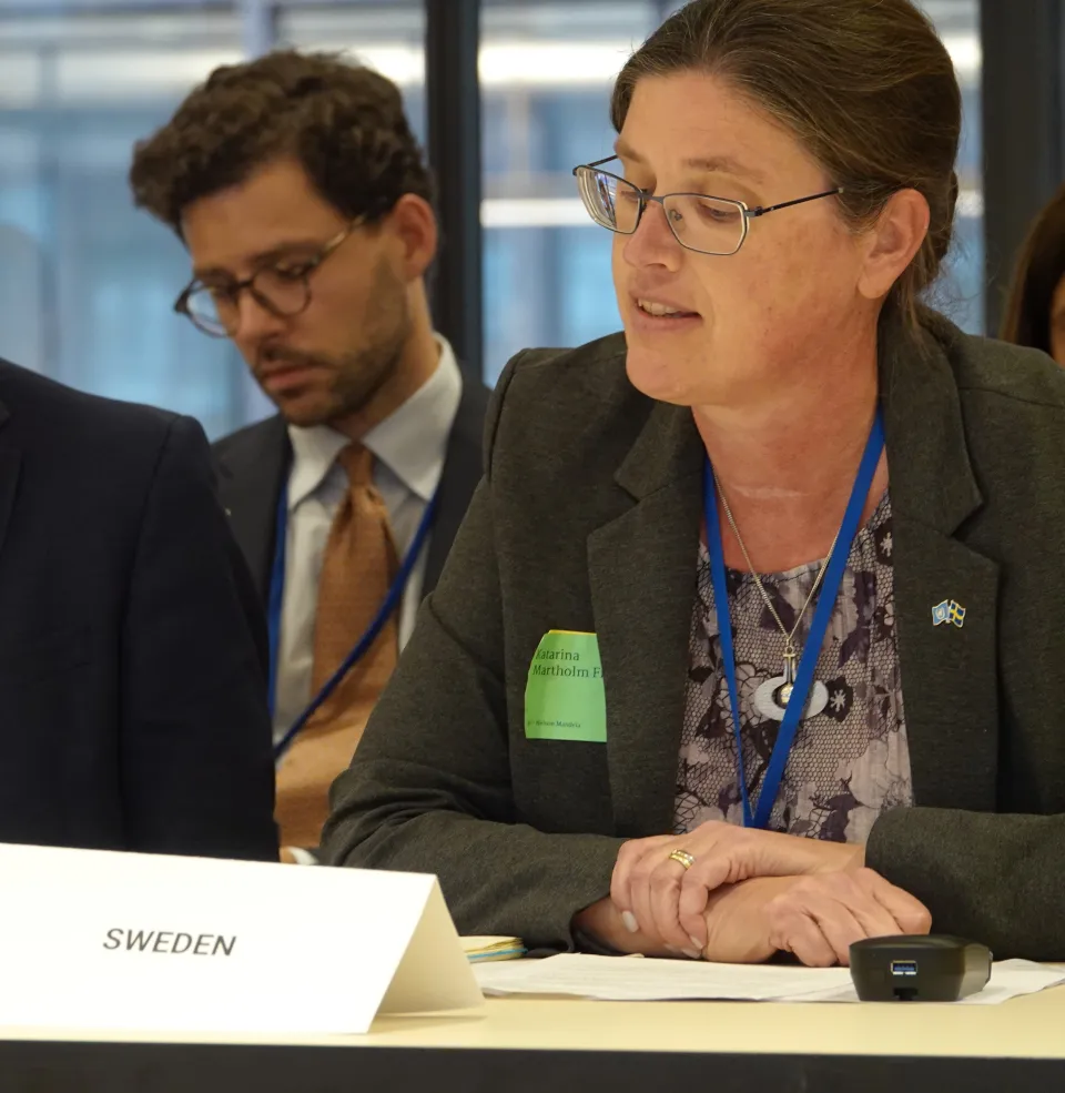Ambassador Katarina Martholm Fried, ECOSOC, Human Rights and Sustainable Development , Sweden.