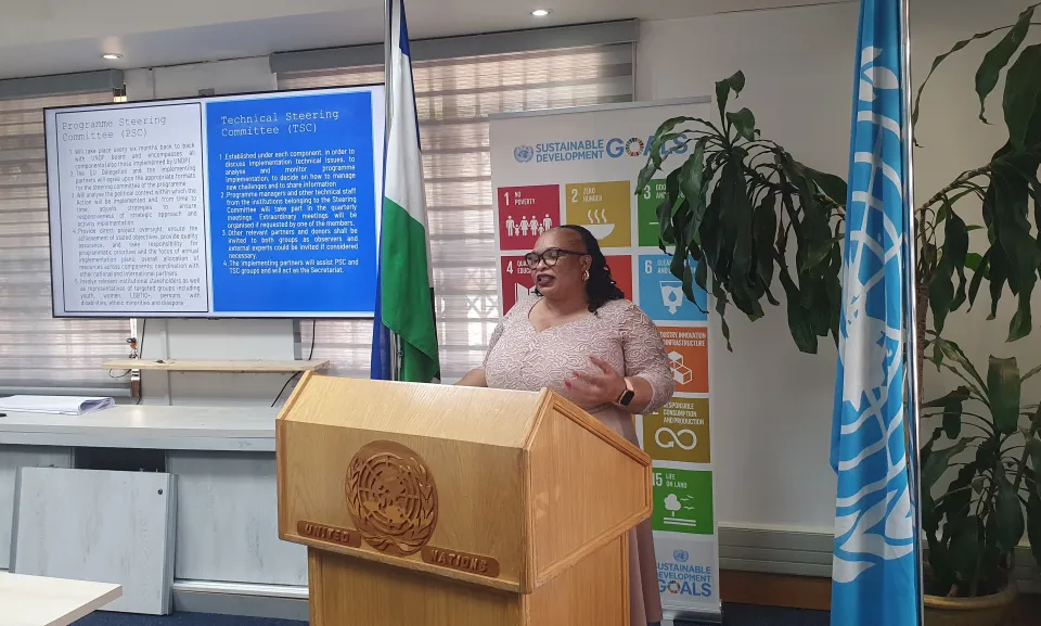 Inaugural Project Steering Committee meeting in Lesotho - November 2025