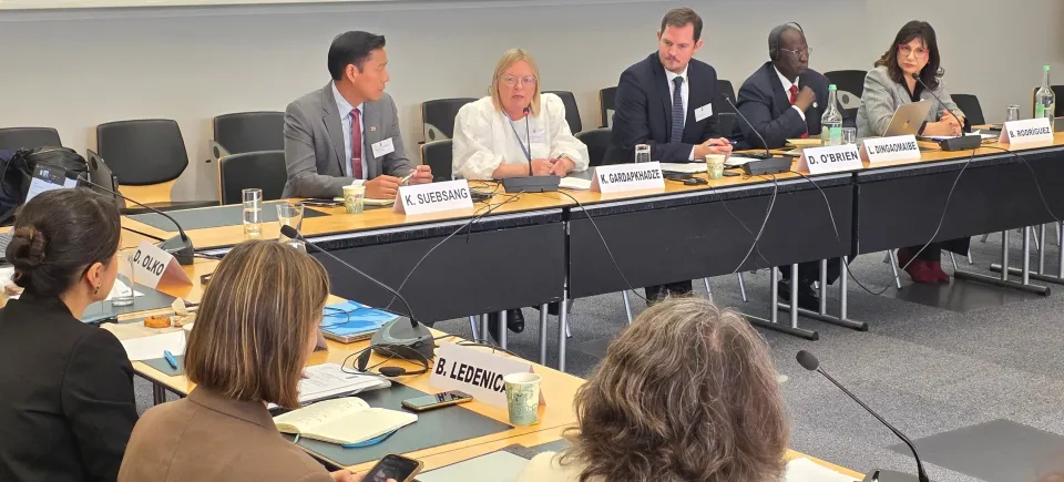 Katarzyna Gardapkhadze, International IDEA’s Director of Global Programmes (center). 