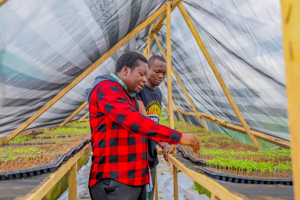 RoLAC in Nigeria - November 2025