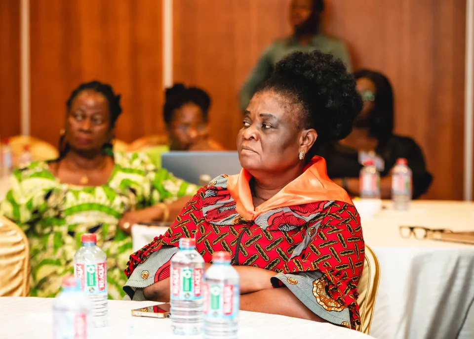 Protecting Elections: Addressing GBDV in Elections Workshop Ghana, Dec 2025. Photo by @ADPRO Photo/ International IDEA. 