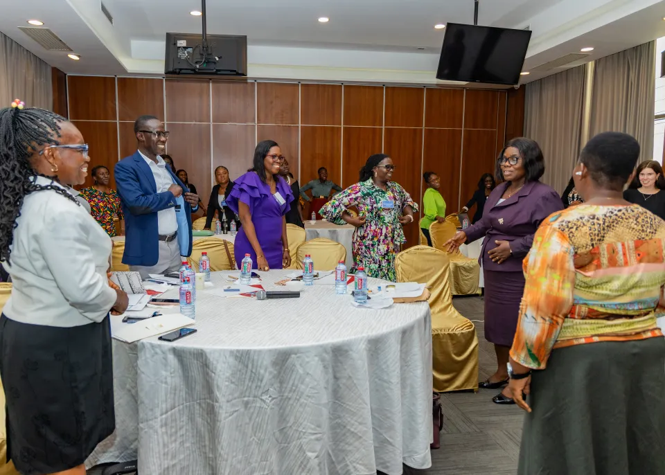 Protecting Elections: Addressing GBDV in Elections Workshop Ghana, Dec 2025. Photo by @ADPRO Photo/ International IDEA. 