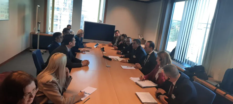 MEP Aaltola discussing on the coordinated and integrated approach of European Democracy Shield initiative