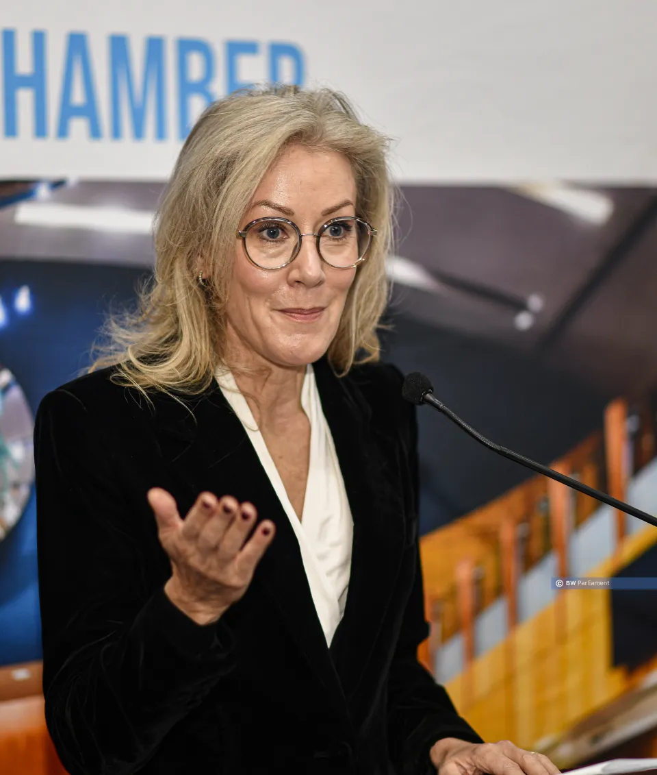 Ambassador Petra Pereyra, representative of the European Union. /Bright Khumanego, BW Parliament