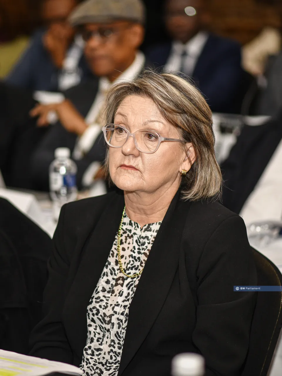 Dr Nelia Orlandi, Deputy Director of the Parliamentary Budget Office of South Africa. /Bright Khumanego, BW Parliament