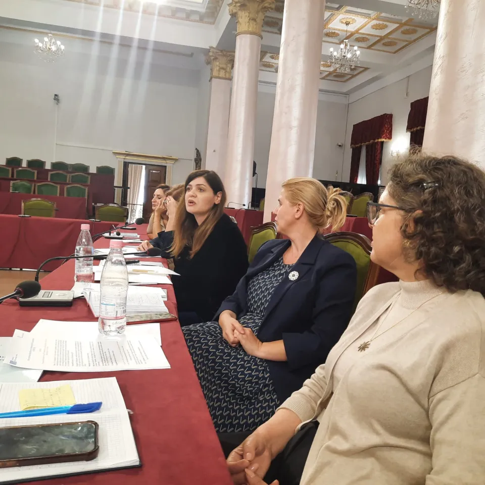 ICT Assessment mission of Albanian Assembly with EU expertise 