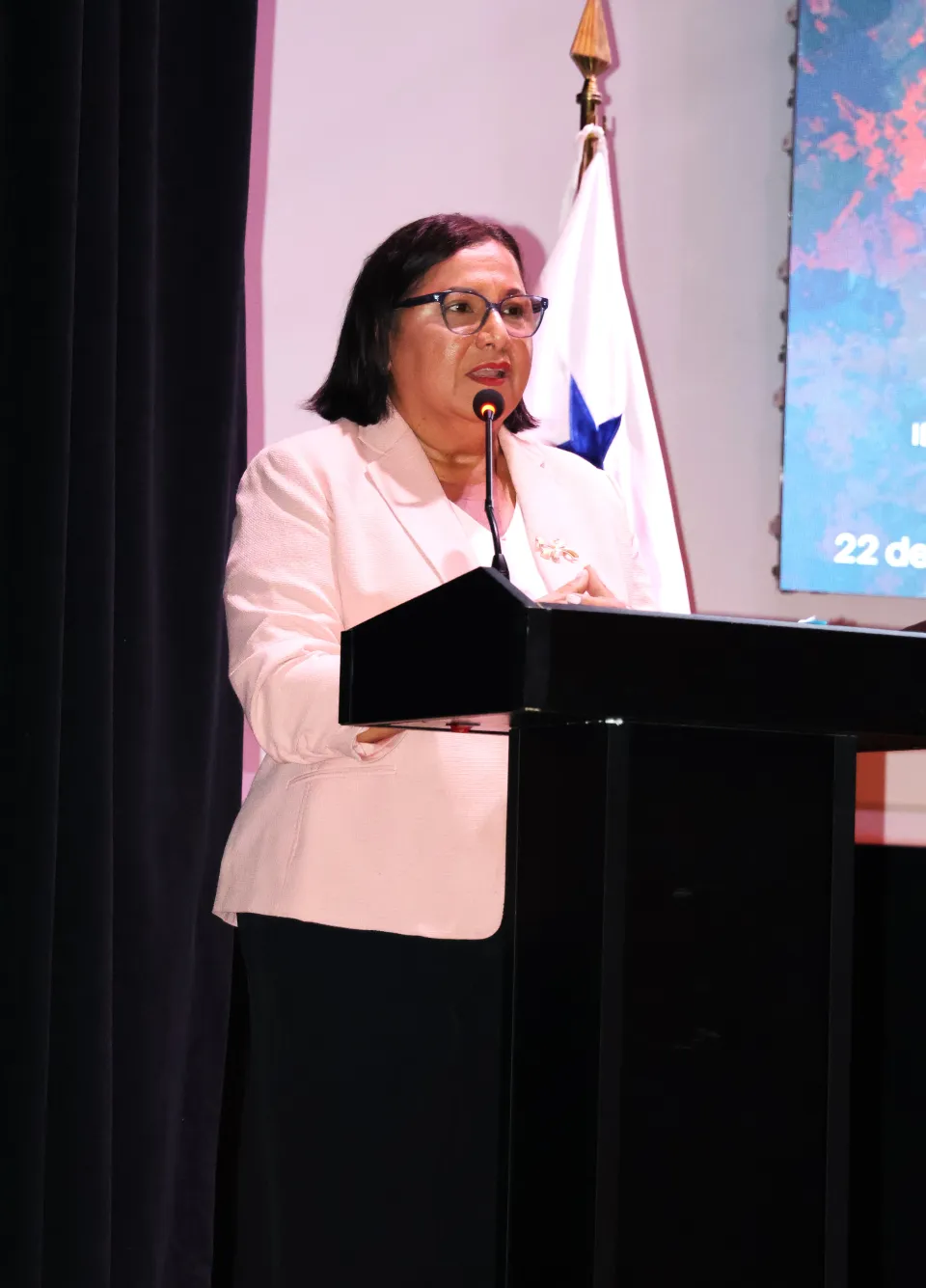 Yara Campo, Institutional Director of the Electoral Tribunal (TE)