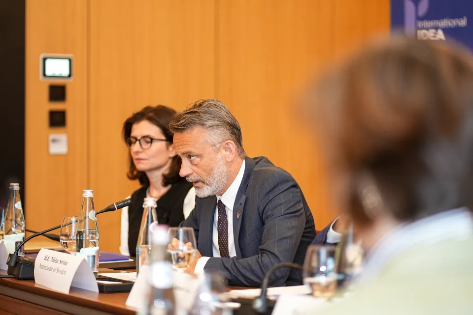 Swedish Ambassador at the briefing session with EU and International IDEA MS, WB
