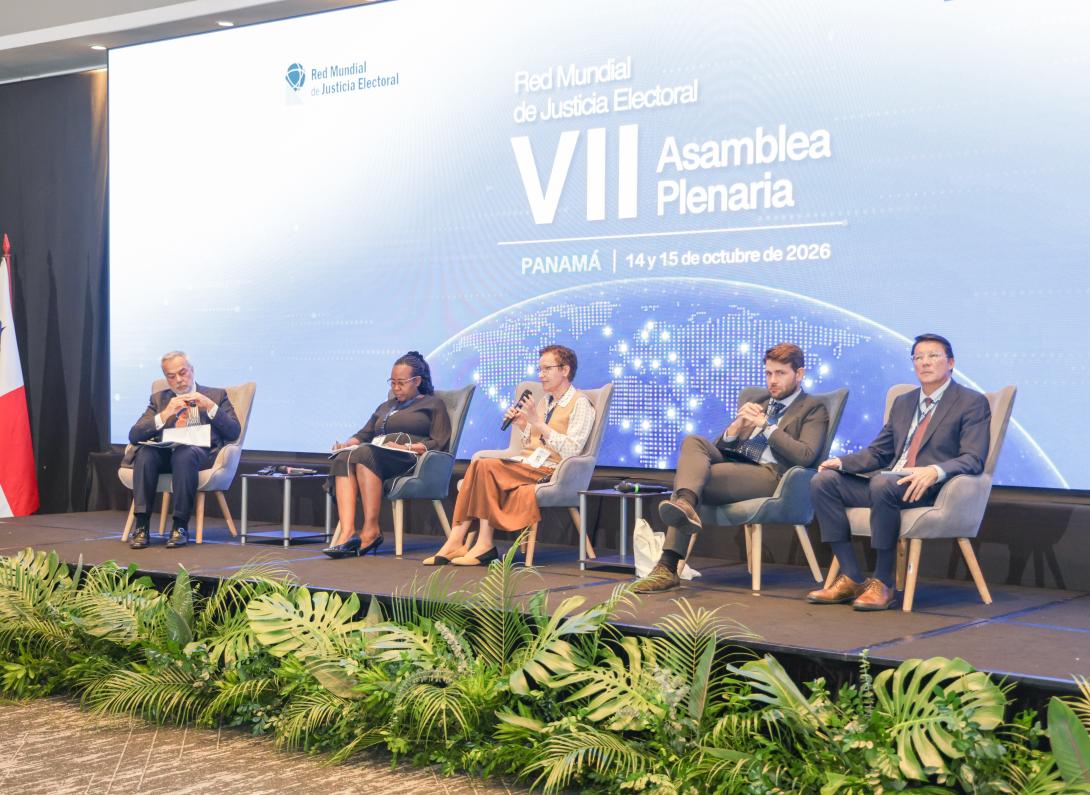 Therese Pearce, Head of Electoral Processes at International IDEA, during her remarks on the challenges of understanding and accessing electoral justice.
